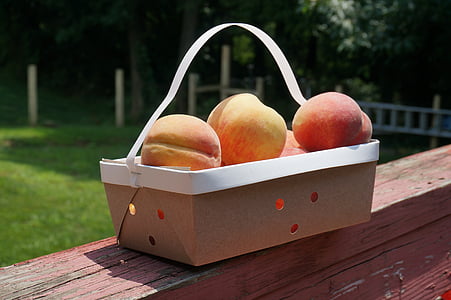 peach, fruit, basket, food, healthy, fresh, sweet