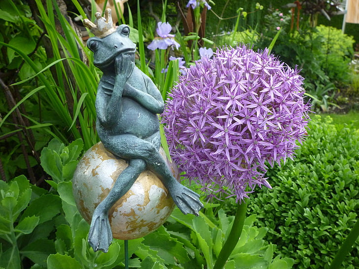 grenouille, figure d’argile, jardin, oignon ornemental, prince de conte de fées