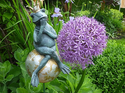 žaba, postava hlina, Záhrada, okrasná cibuľa, rozprávkový princ