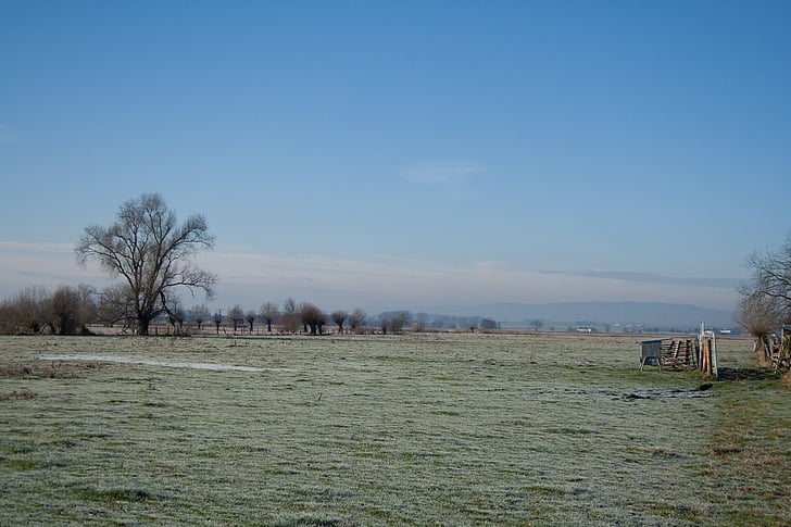 Zimní, krajina, obloha, Zimní, zralé, mráz, strom