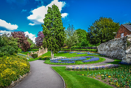 zahrady, Guildford, Anglie, slunečno, obloha, léto, království