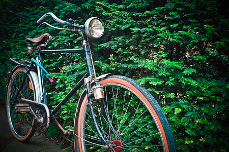 bici, vecchio, ruota, veicolo a due ruote, nostalgia, nostalgica, escursioni in bicicletta
