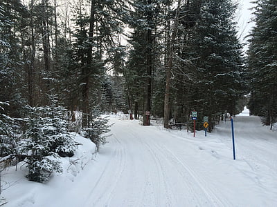 hutan, salju, pemandangan musim dingin, Kanada, Desember