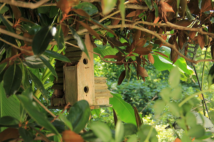Birdhouse, Domek dla ptaków, drewniane, Natura, ogród, ptak, Dom