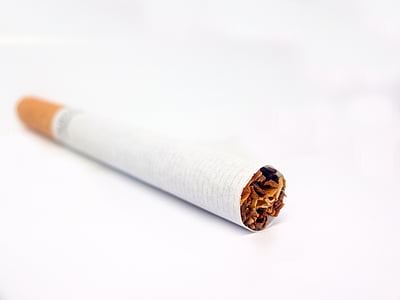 papieros, tytoń, wędzone, białe tło, biały, obraz
