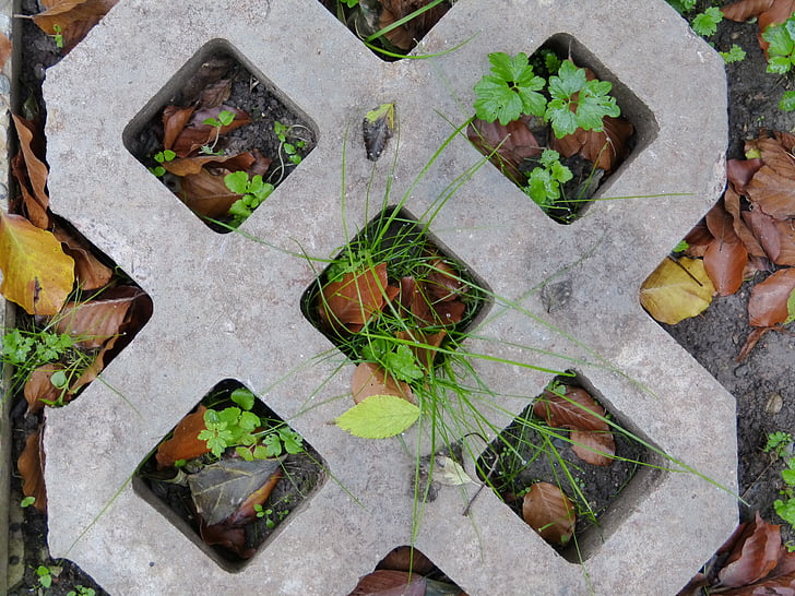 abstract, concrete, stone, moss, leaves, grey, square
