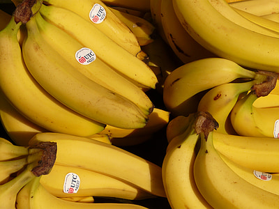 banana, fruit, healthy, yellow, tropical, food, banana shrub