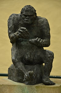 singe, homme, Apeman, Evolution, développement, image, statue de