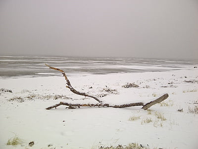 Χειμώνας, Βόρεια θάλασσα, πάγου, Nordfriesland, παραλία, μοναξιά, σιωπηλή