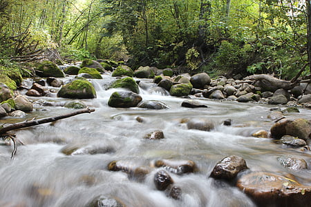 river, stream, water, rocks, green, moss, plants