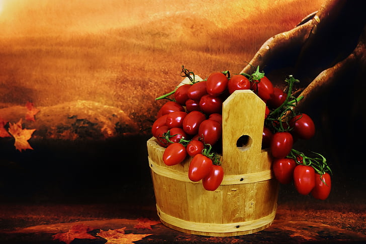 домати, дървена кофа, събира, зеленчуци, здрави, реколта, червен