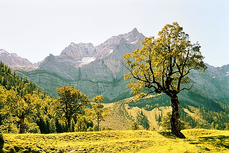 ahornboden, Alpina, montanhas, engalm, paisagem montanhosa, Prado, montanha