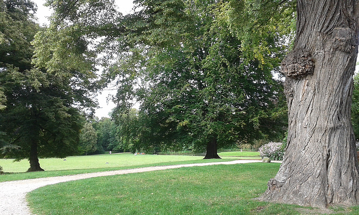 Herrnsheim, Parcul castelului, Germania, Hessa Renană, viermi, vara, verde