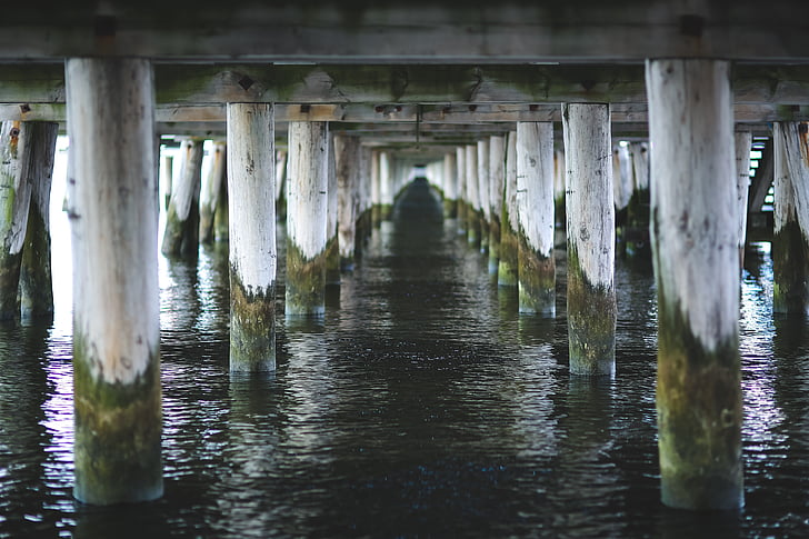 photo, white, gray, wooden, dock, body, water