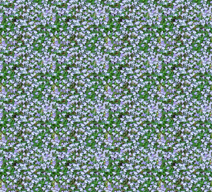 lobelia, flowers, light blue, countless, seamless, pattern, collage