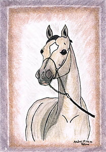 tekening, schilderij, paard, Arabieren, pony, volbloed, dier