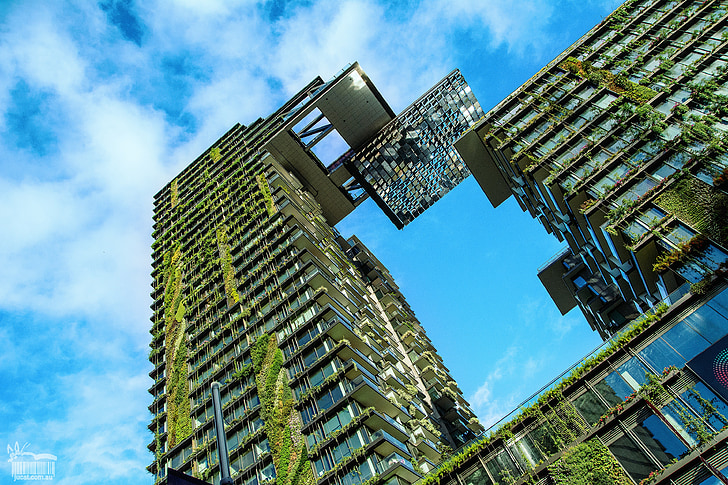 pastatas, augalai, Architektūra, augalai ant pastato, Žalias miestas, dangoraižis, pastatyta struktūra