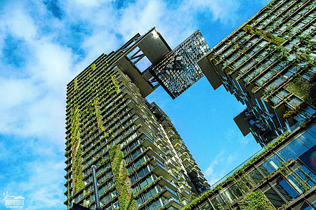 byggnad, växter, arkitektur, växter på byggnaden, grön stad, skyskrapa, inbyggd struktur