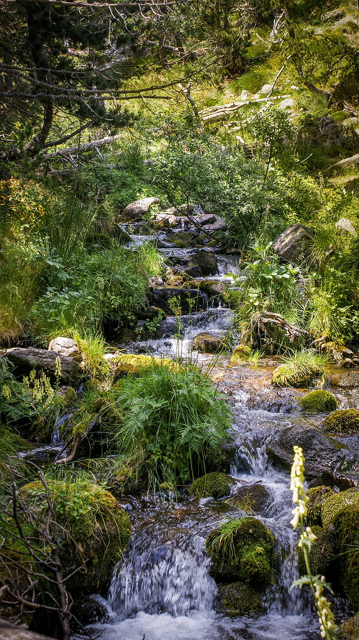 Cascade, vesi, Creek, vesistöjen, River, Luonto, Mountain