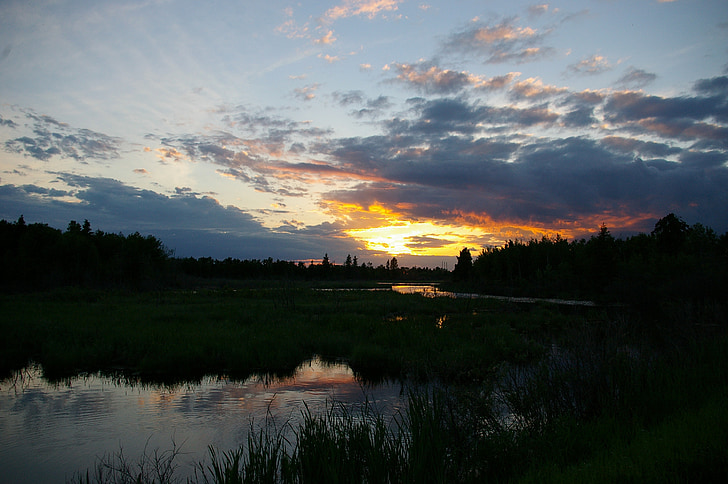 våtmarker, solnedgang, vann, trær, skyer, himmelen, refleksjon