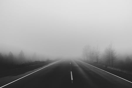 grayscale, photo, road, surrounded, trees, fog, covered