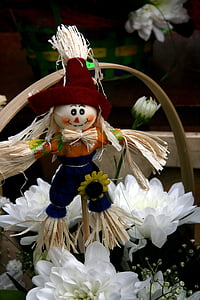 scarecrow, flower, white, spring