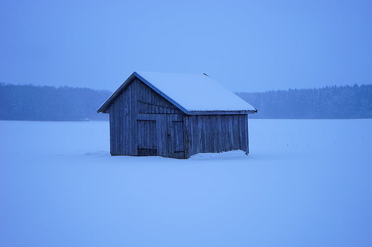 Hut, salju, kabin, skala, musim dingin, dingin, embun beku