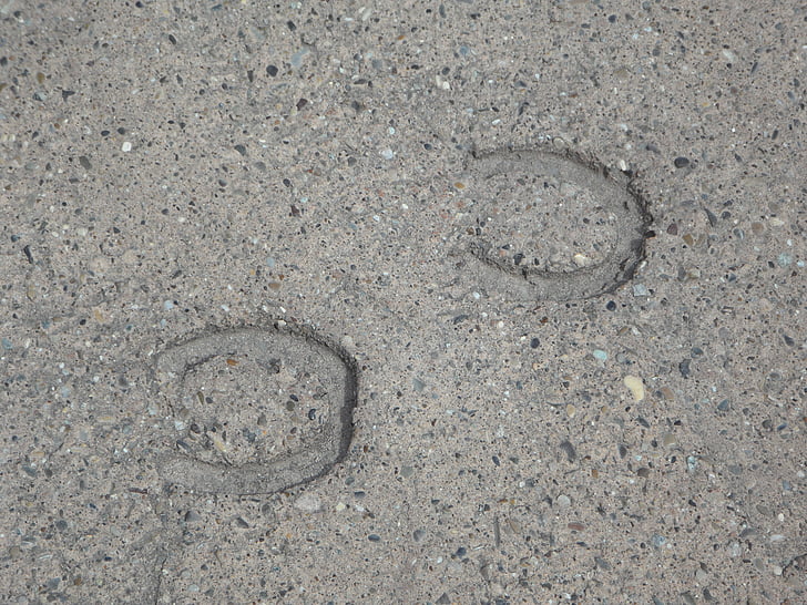hoof, reprint, hoofprints, footprint, traces, trace, horse