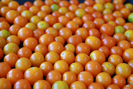 pomodoro ciliegia giallo, pomodoro giallo, pomodoro di ciliegia, piccoli pomodori, giallo, pomodoro, arancio
