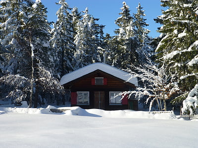 小屋, 雪, 冬