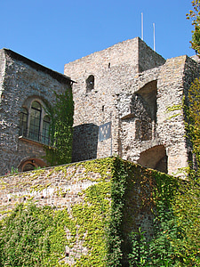 castle, germany, ancient, wine, ivy, old, architecture