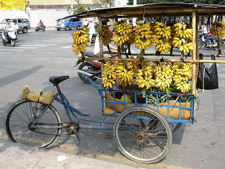 bananų, prekyba, dviratis, Vietnamas, vaisių, tropikuose, gatvė