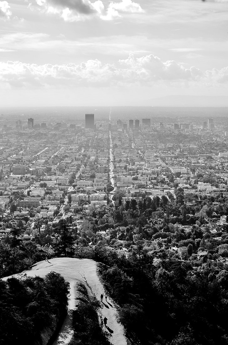 lookout, view, trail, city, buildings, rooftops, black and white