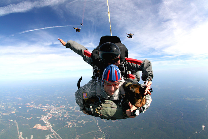 paracadutisti tandem, paracadutisti, lavoro di squadra, cooperazione, paracadute, paracadutismo, salto