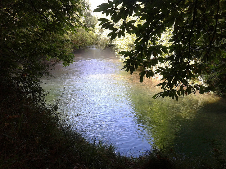 folyó, puron, természet