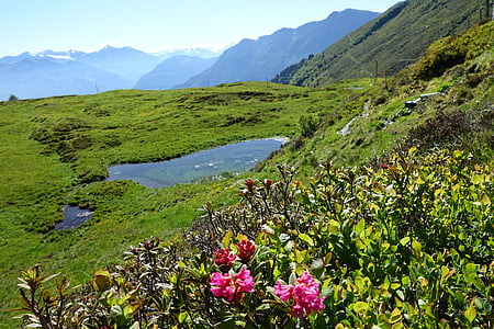 bündnerland, Graubünden, kaca menyenangkan, pemandangan, kejauhan, pegunungan, Panorama