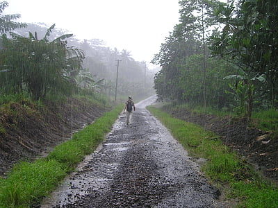 acquazzone, stagione delle piogge, Samoa, esotici, mare del sud, forte pioggia, pioggia