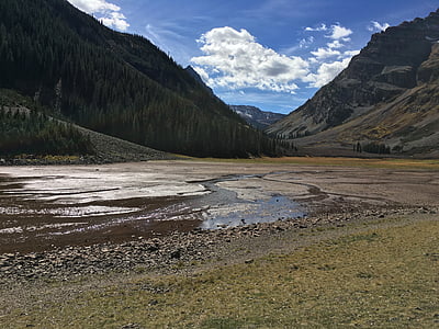 Aspen, kaštoninės spalvos varpeliai, Gamta, Koloradas