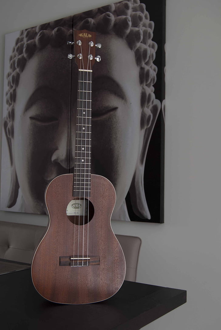 guitarra, instrument