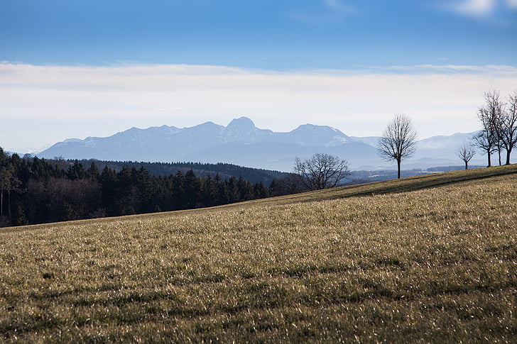 secador de cabelo, paisagem, montanhas, Alpina, Alta Baviera, Primavera, árvores