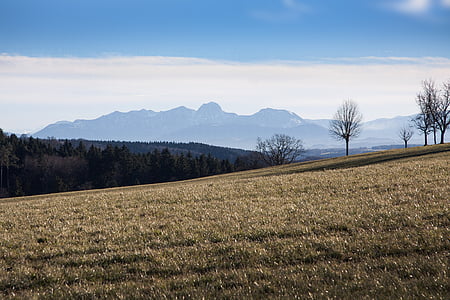 hajszárító, táj, hegyek, alpesi, Felső-Bajorország, tavaszi, fák