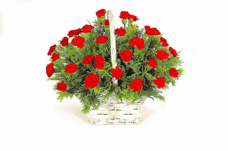flowers, basket, green, carnation red, white background, cut out, studio shot