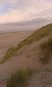 北海, 沙丘, stranddüne, 海滩, 海, 沙子, 假日