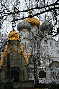 klooster, orthodoxe, kerk, winter, spiritualiteit, koepel van goud