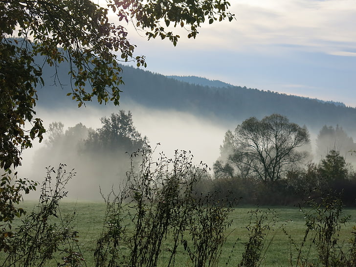 paysage, brouillard, Haze, arbres, Jílové u prahy, chotouň, automne