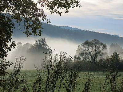 landscape, fog, haze, trees, jílové u prahy, chotouň, autumn