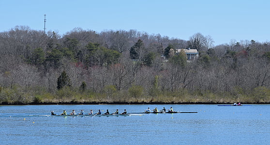 mens scull rowing, scull rowing, men, rowing, sport, clinch river, melton lake