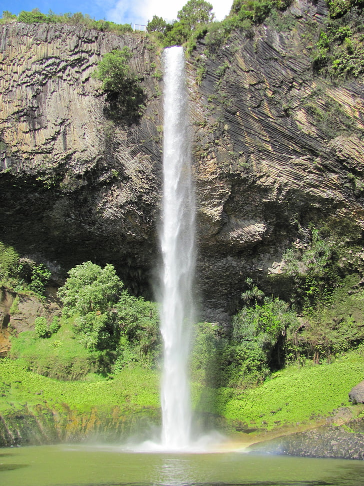 Nova Zelândia, Bridal veil falls, pedras, Cachoeiras, Cachoeira, plantas, água