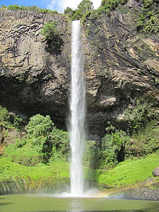 Nuova Zelanda, Bridal veil falls, rocce, Cascate, cascata, piante, acqua