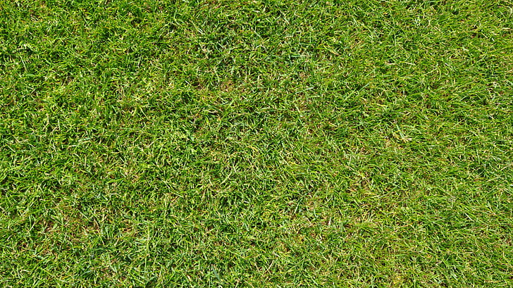 grass, green, football, football field, background, texture, gazongras